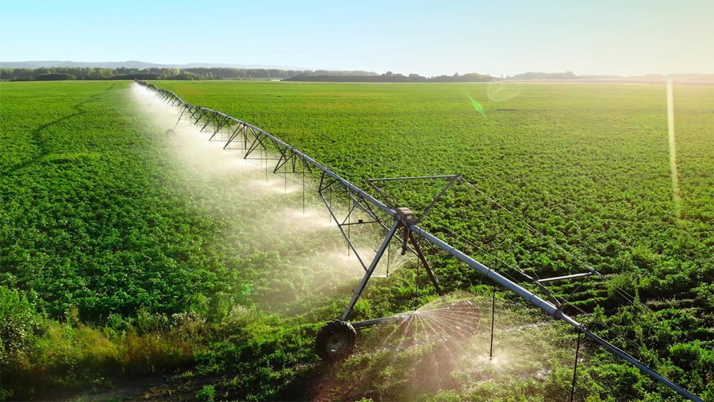 Irrigação na agricultura